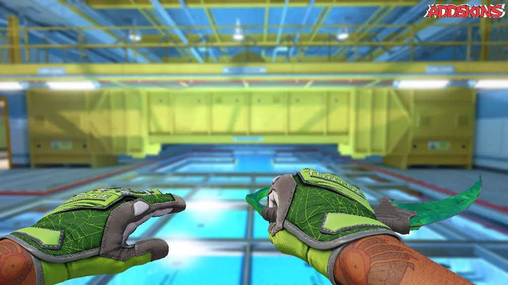 ★ Karambit | Gamma Doppler Emerald holding