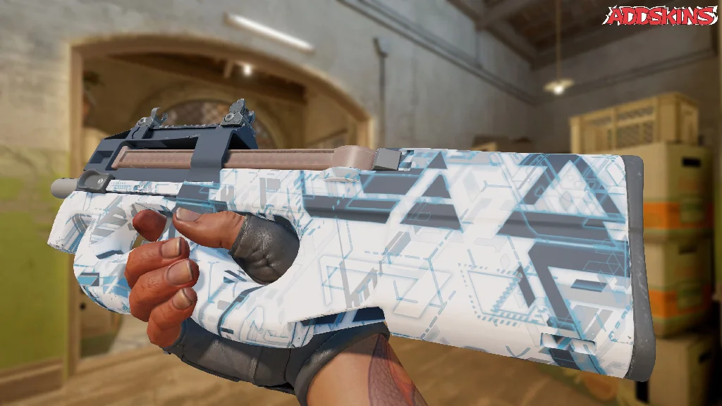 P90 | Schematic inspecting