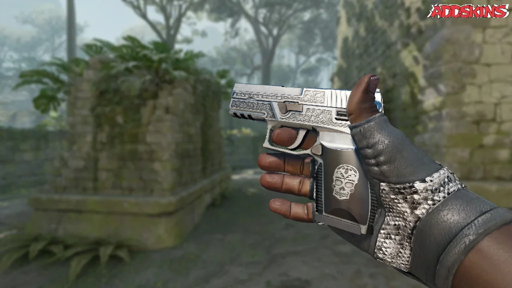 P250 | Cartel inspecting
