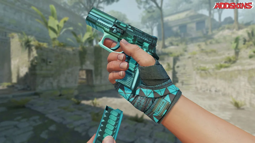 P250 | X-Ray reloading