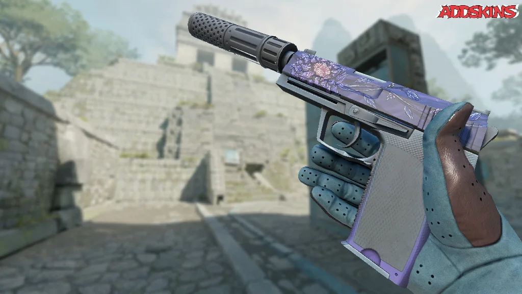 USP-S | Black Lotus inspecting