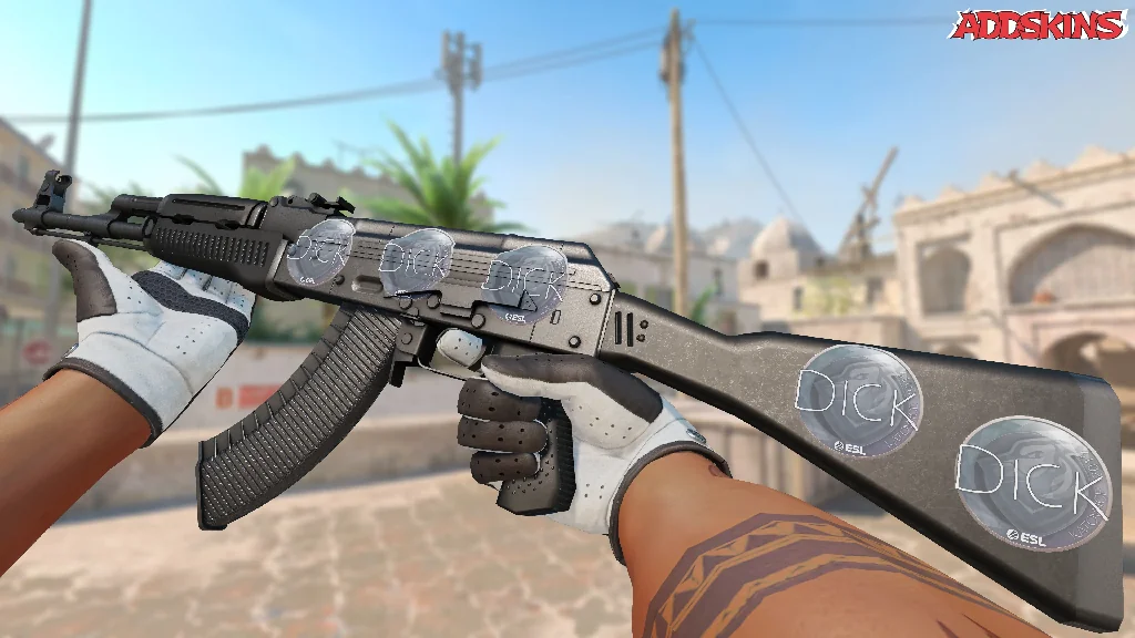 Sticker | DickStacy | Katowice 2019 inspecting