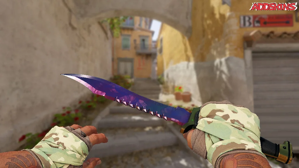 ★ Bowie Knife | Doppler Phase 2 holding