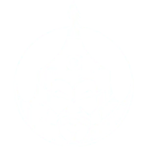 Senzu team logo