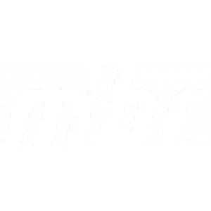 insani team logo