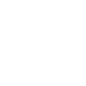 v$m team logo