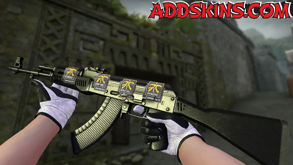 Sticker | Fnatic | DreamHack 2014 presenting-1