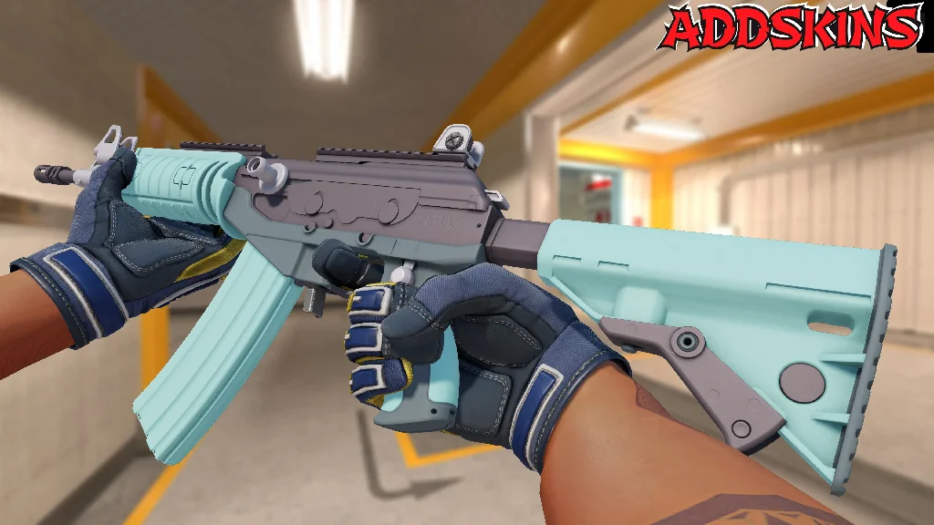 Galil AR | Robin's Egg inspecting