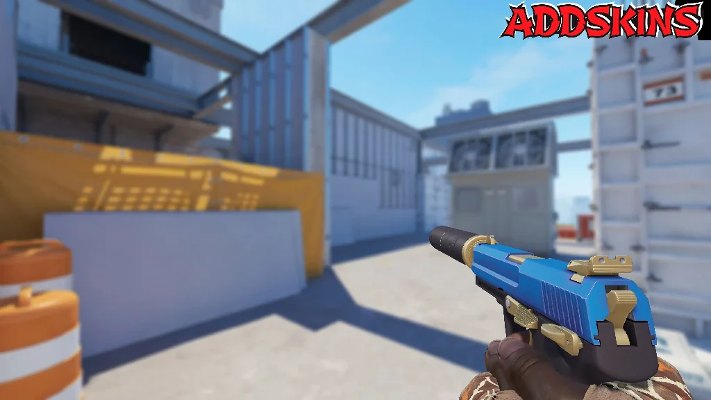 USP-S | Royal Guard holding