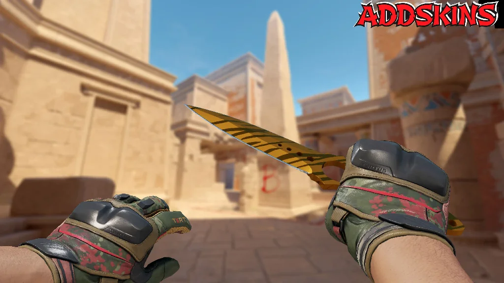 ★ Skeleton Knife | Tiger Tooth holding