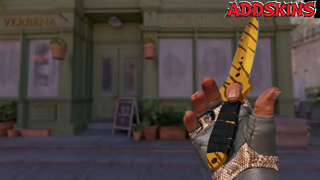★ Skeleton Knife | Tiger Tooth inspecting