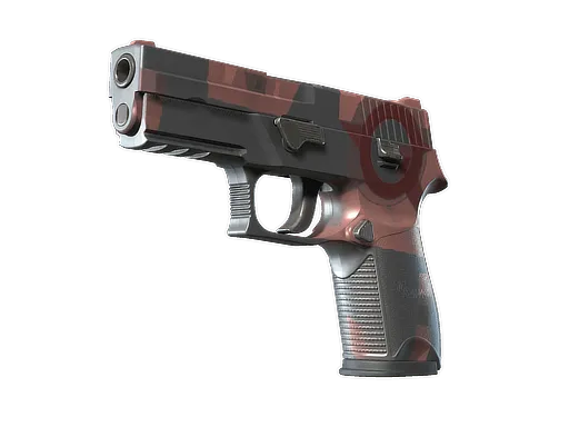 P250 | Constructivist