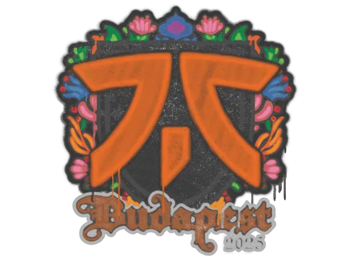Sealed Graffiti | fnatic | Budapest 2025