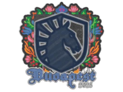 Sealed Graffiti | Team Liquid | Budapest 2025