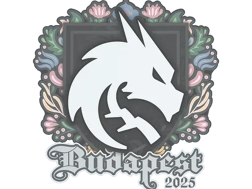 Наклейка | Team Spirit | Будапешт-2025