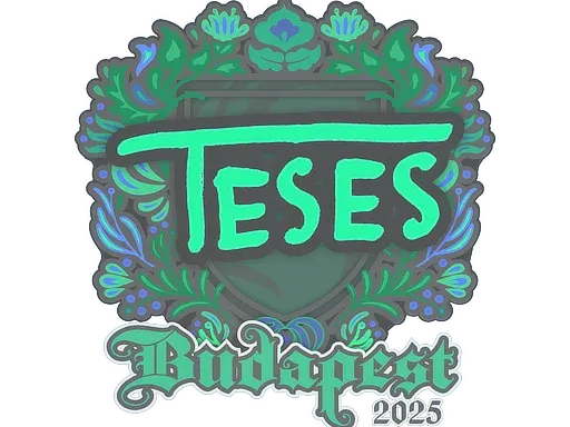 Наклейка | TeSeS | Будапешт-2025