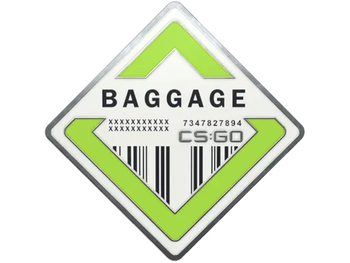 Baggage Pin