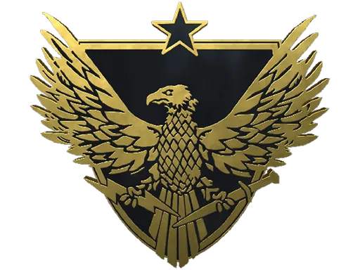 Brigadier General Pin