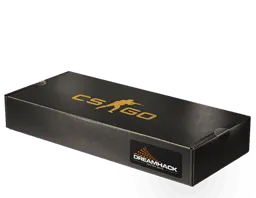 DreamHack 2013 Souvenir Package