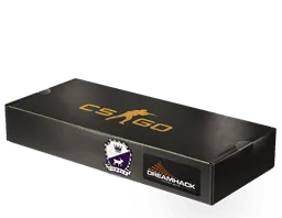 DreamHack 2014 Cobblestone Souvenir Package