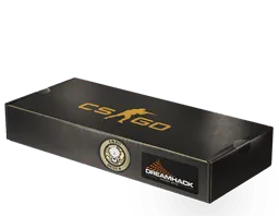 DreamHack 2014 Dust II Souvenir Package
