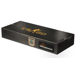 DreamHack 2014 Inferno Souvenir Package