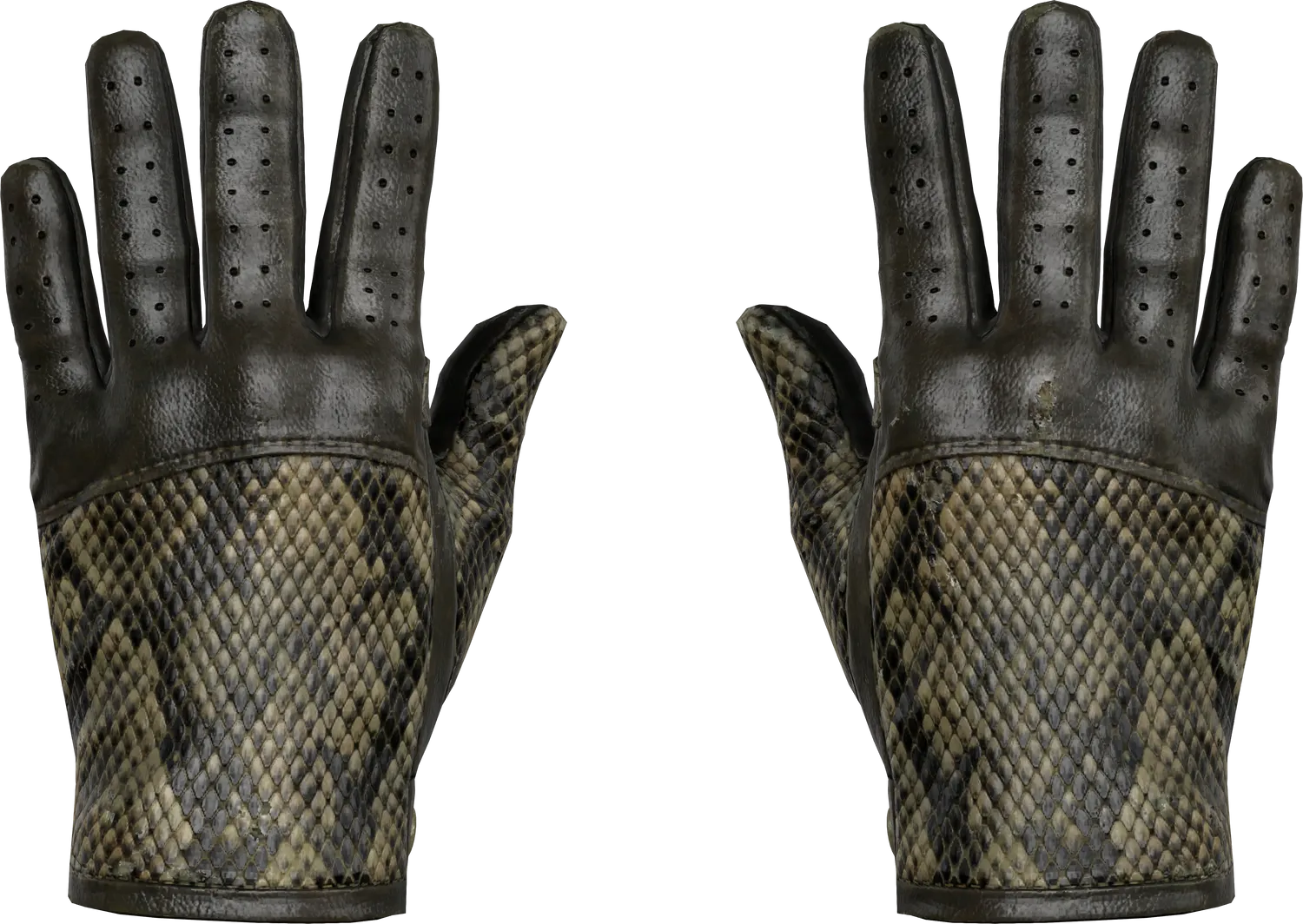 ★ Driver Gloves | Diamondback (Field-Tested)