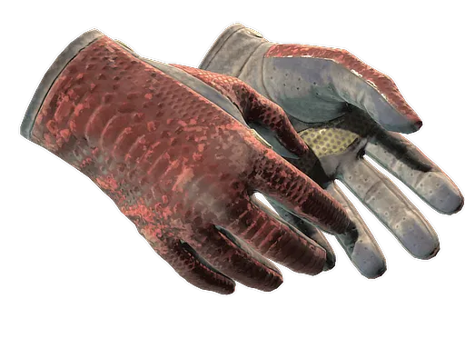 ★ Driver Gloves | Dragon Fists (Battle-Scarred)