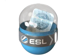EMS Katowice 2014 Challengers