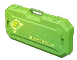 eSports 2014 Summer Case