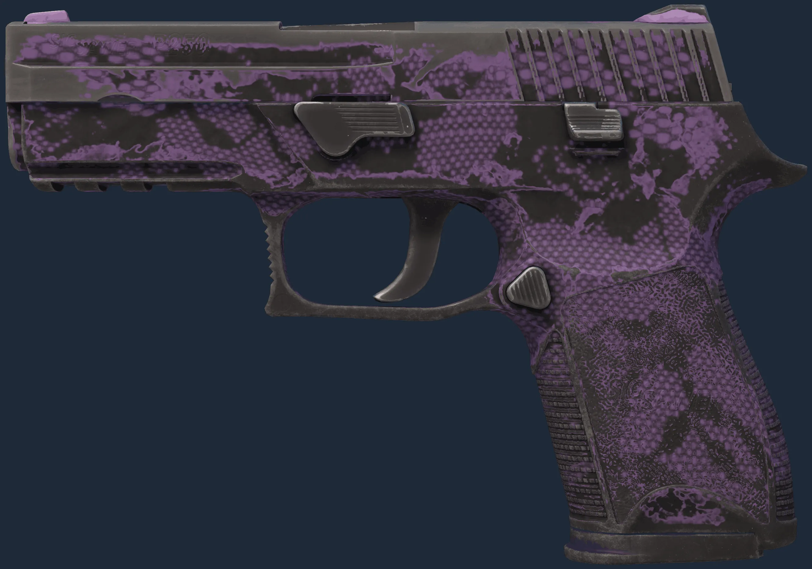 P250 | Plum Netting (Well-Worn)