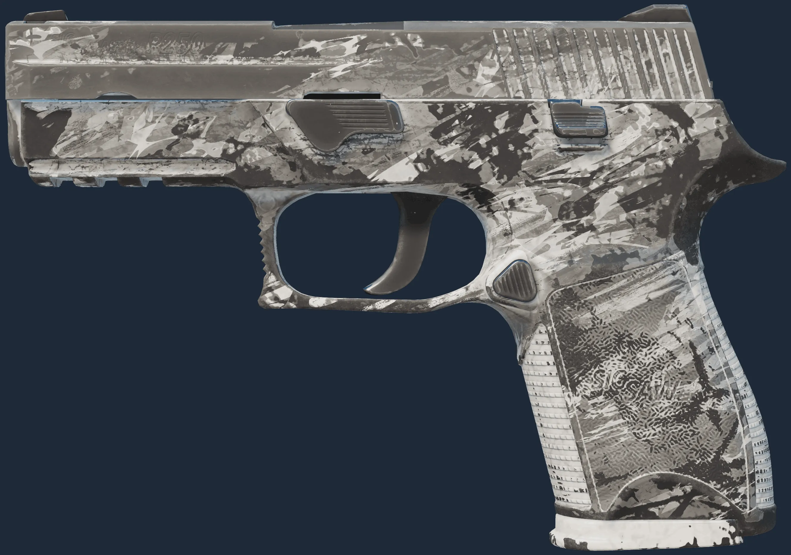 P250 | Sleet (Battle-Scarred)