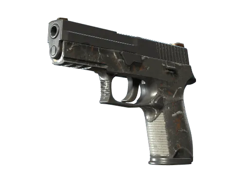 P250 | Small Game (Battle-Scarred)