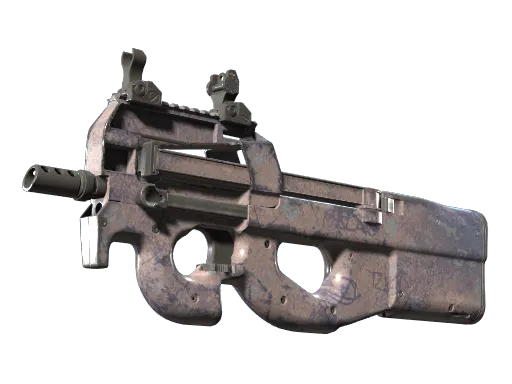 P90 | Wash me (Well-Worn)