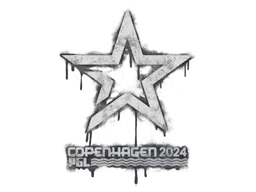 Sealed Graffiti | Complexity Gaming | Copenhagen 2024