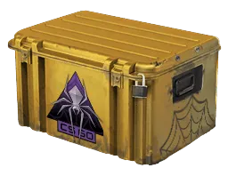 Shattered Web Case