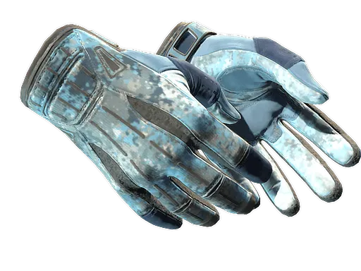 ★ Sport Gloves | Frosty
