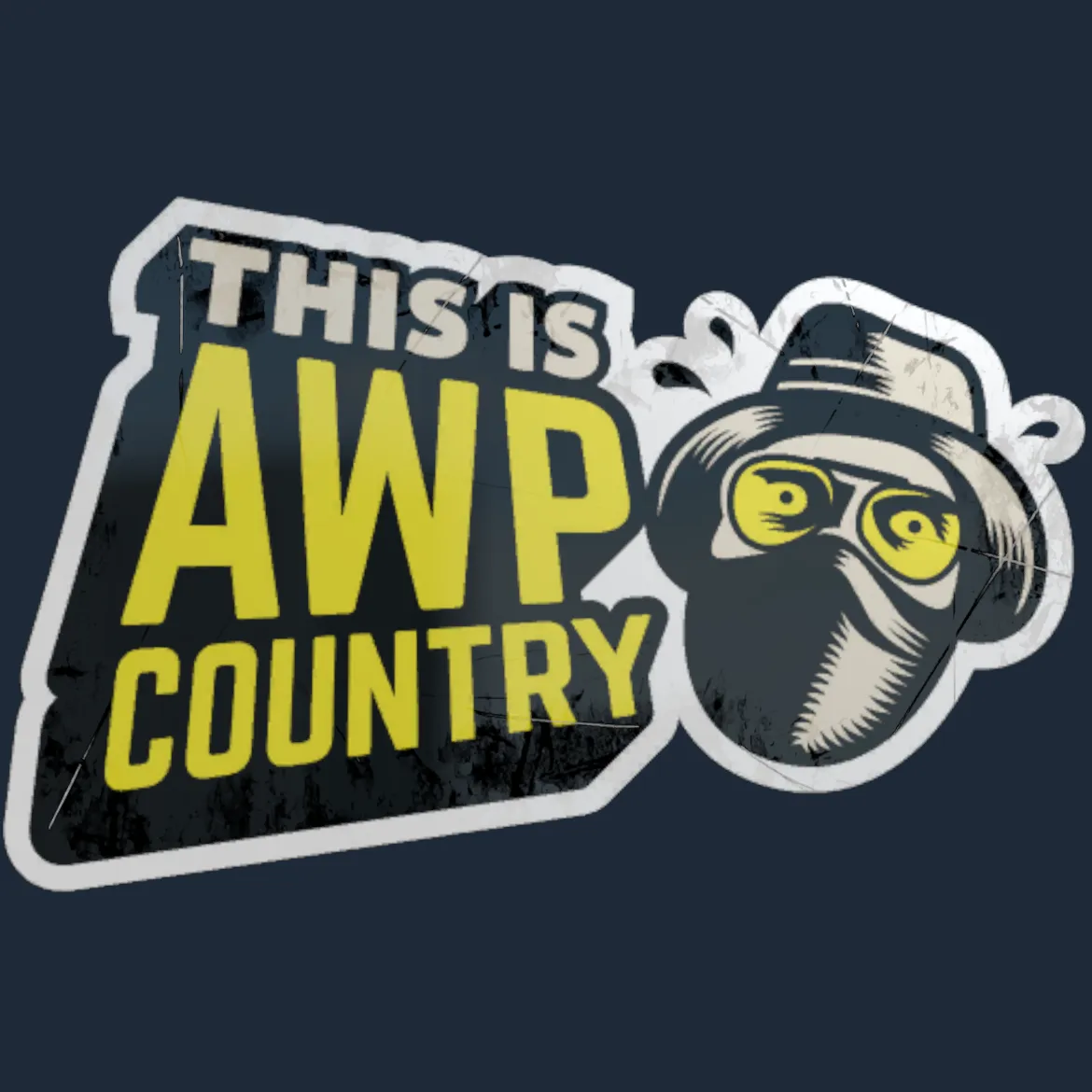 Sticker | Awp Country
