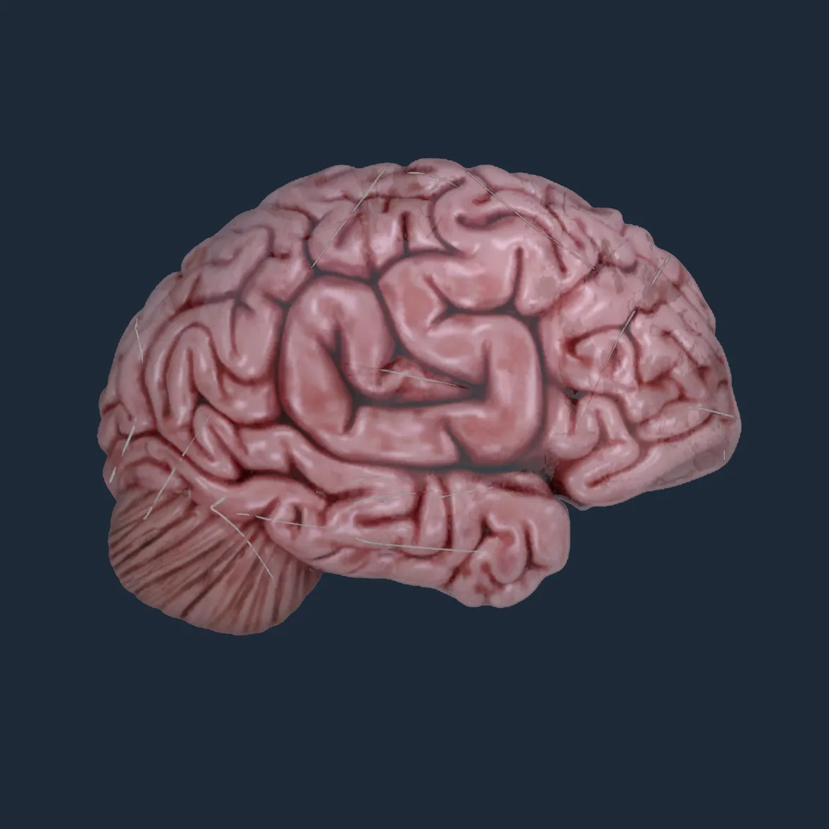 Sticker | CS On The Mind