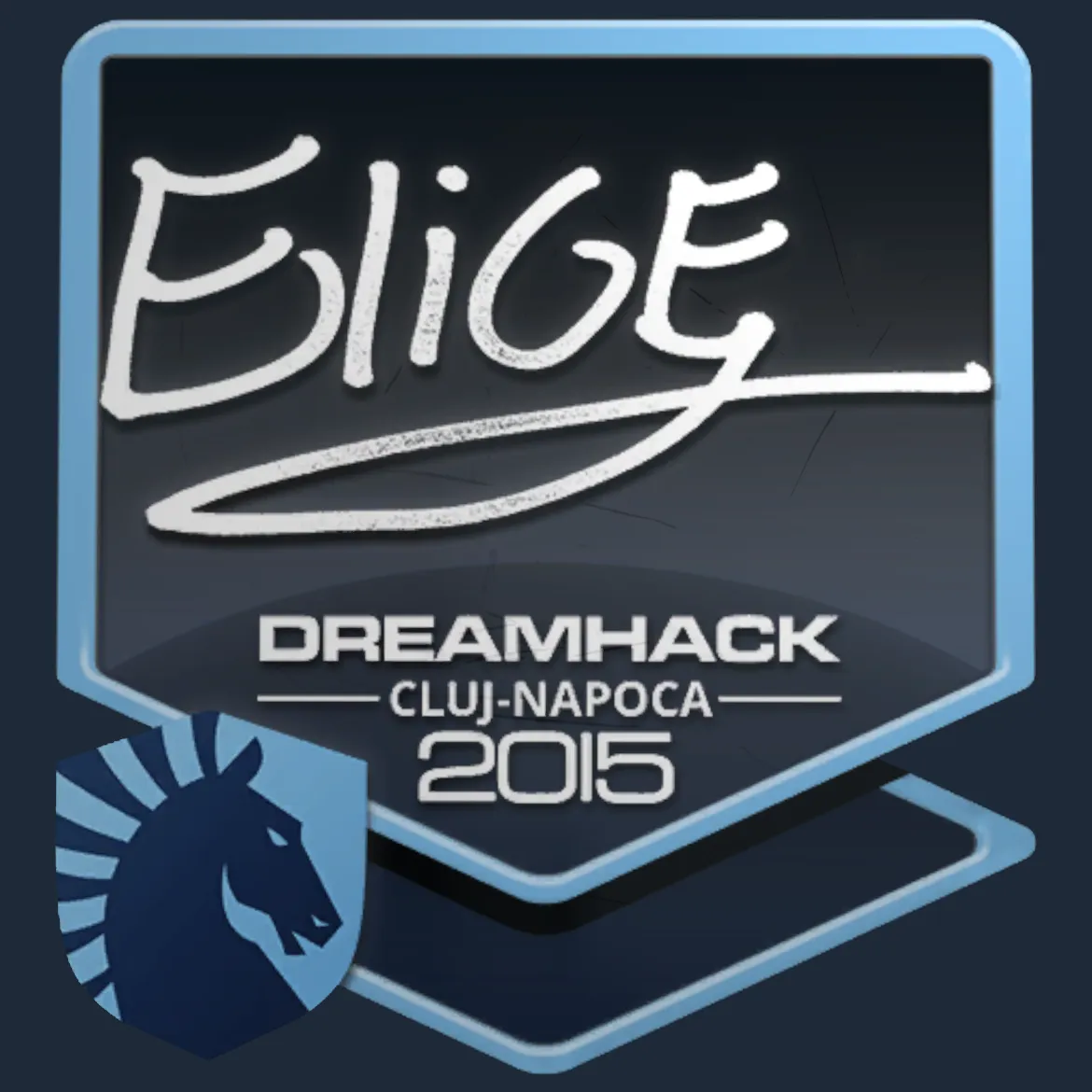 Sticker | EliGE | Cluj-Napoca 2015