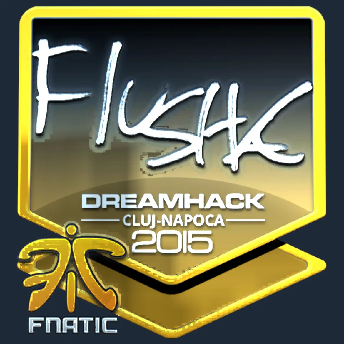 Sticker | flusha (Foil) | Cluj-Napoca 2015