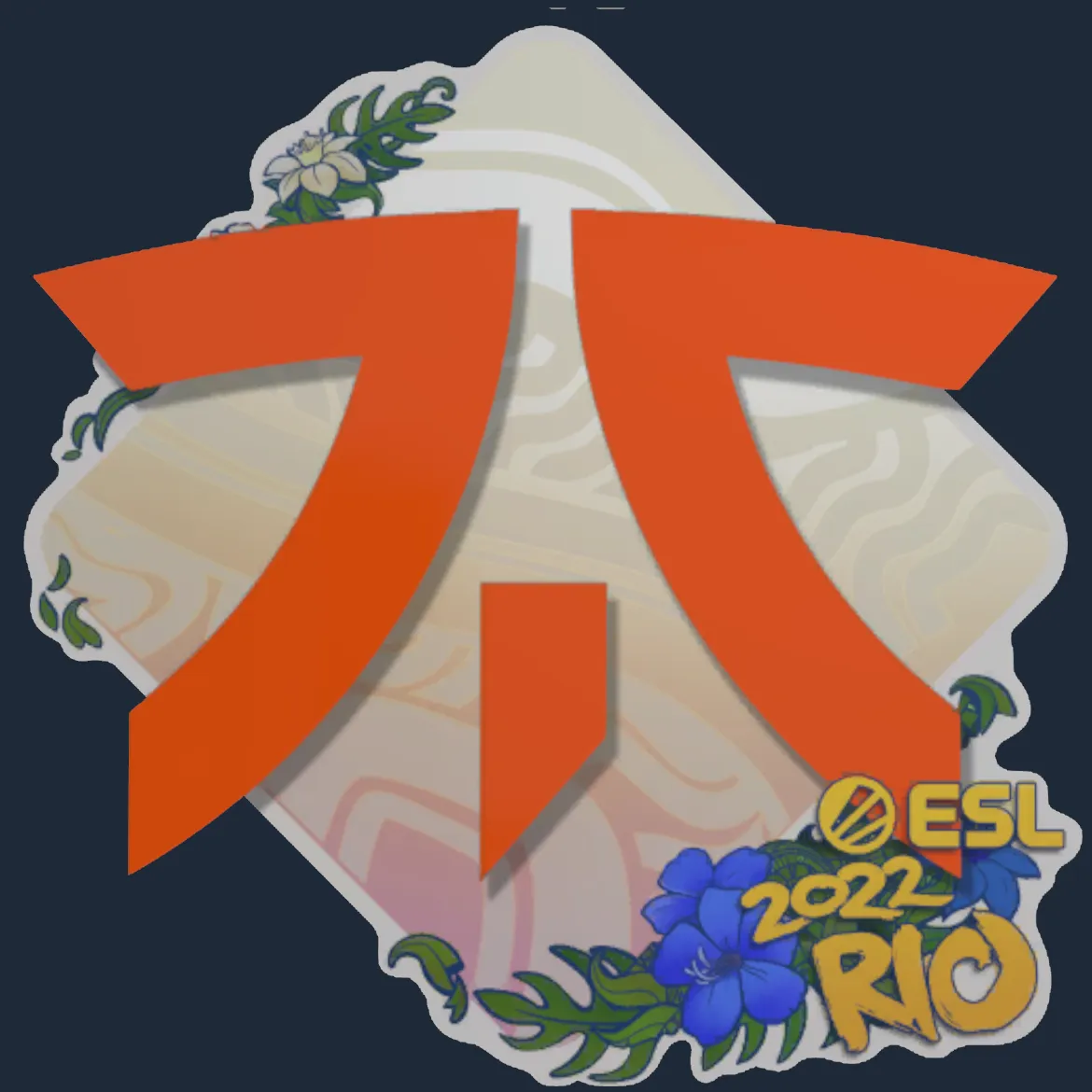 Sticker | Fnatic | Rio 2022