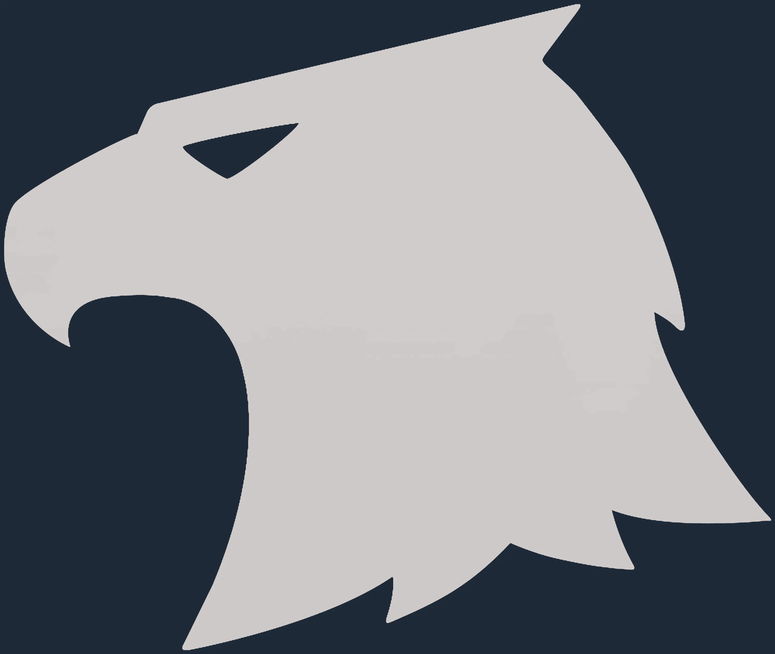 Sticker | Raptors