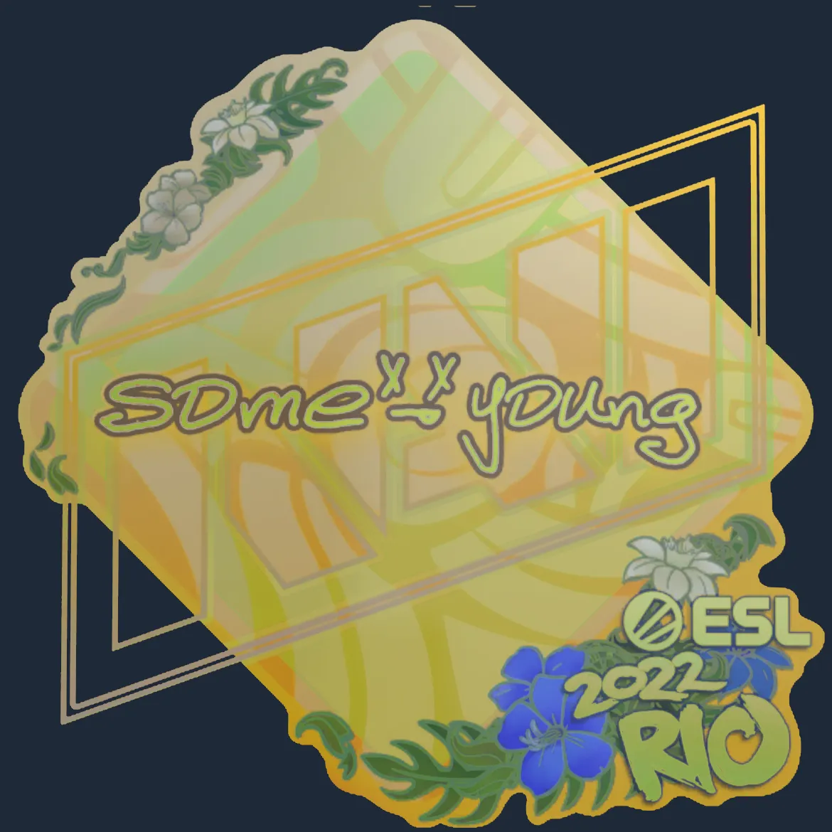Sticker | sdy (Holo) | Rio 2022