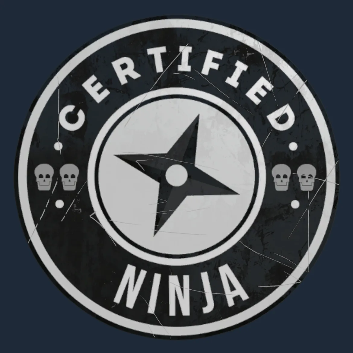 Sticker | The Ninja
