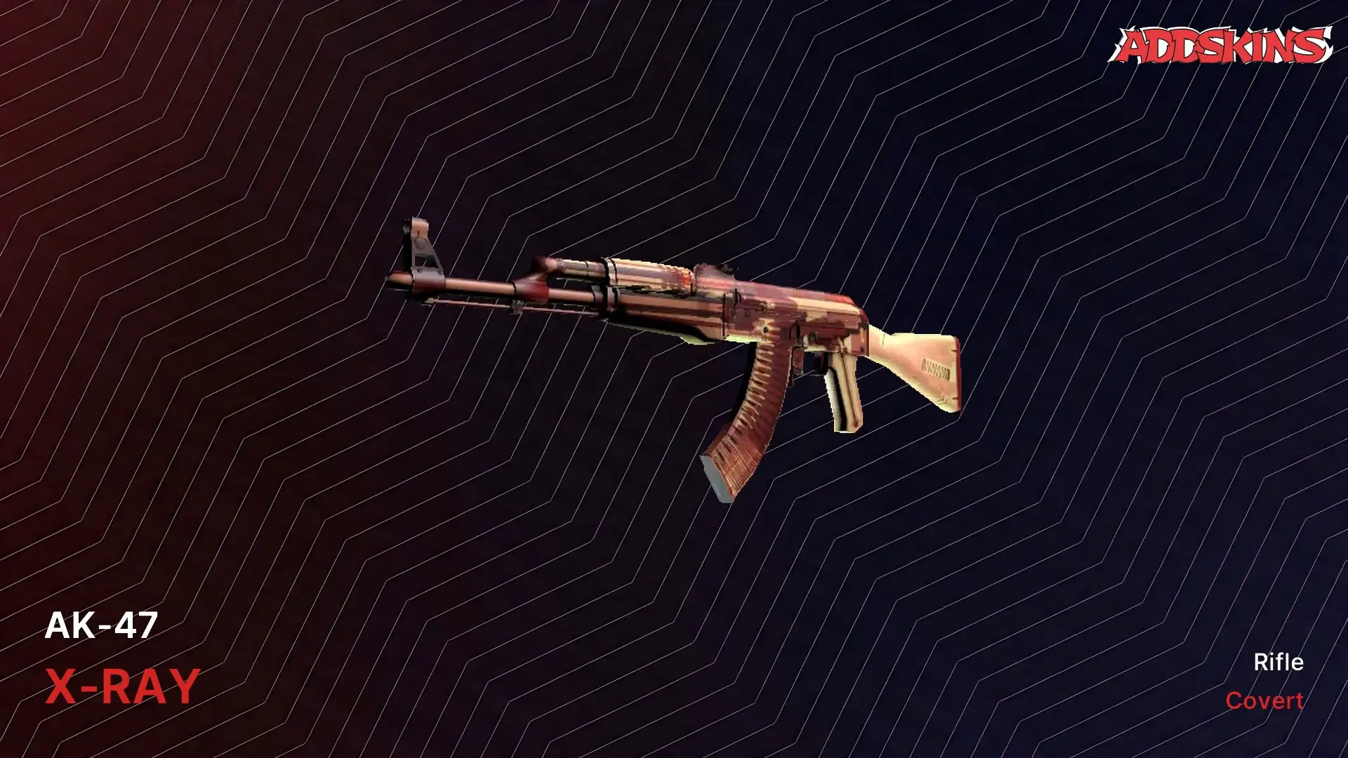 AK-47 | X-Ray video preview