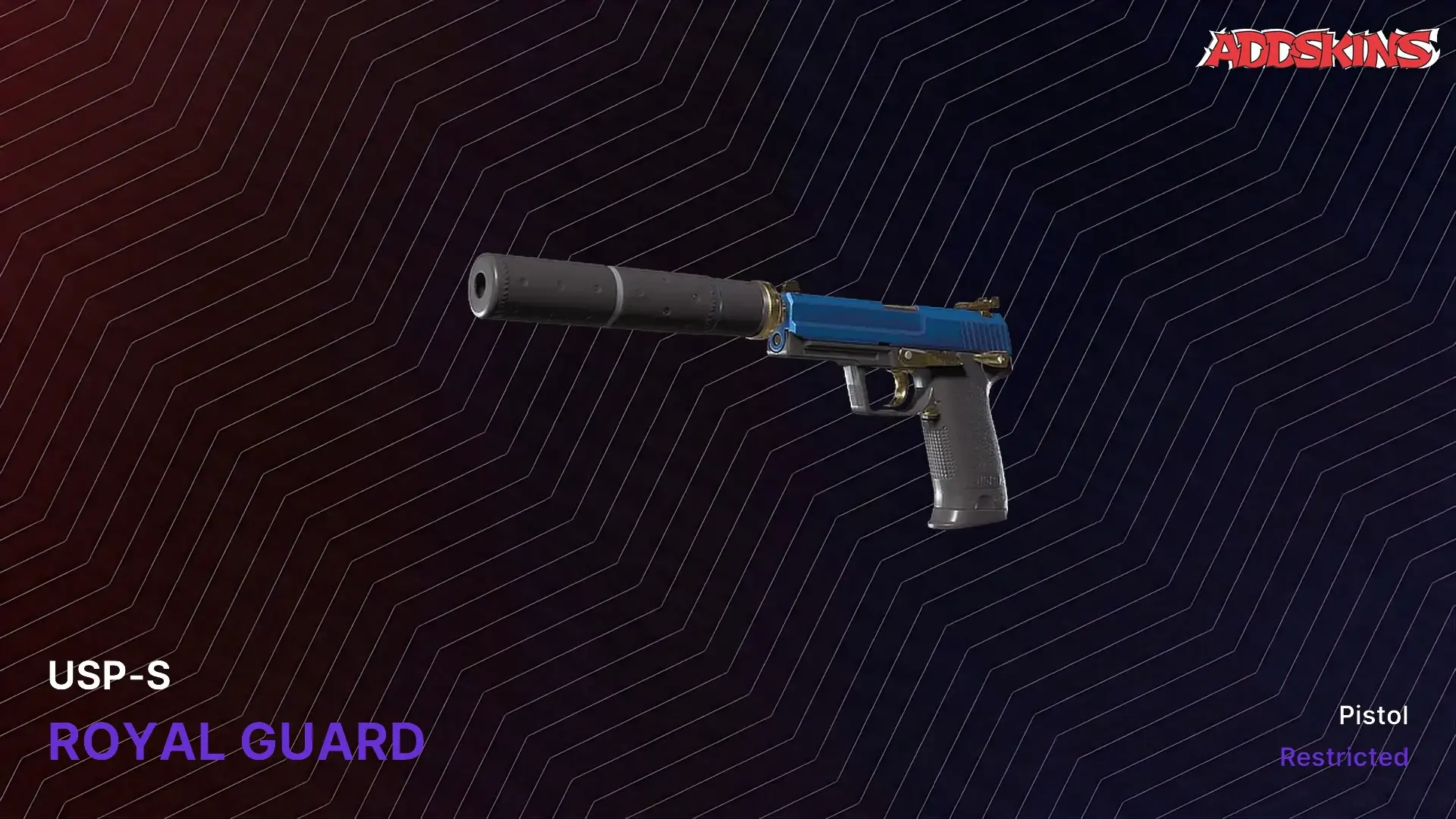 /images/skin_videos_img/usp-s-royal-guard.webp